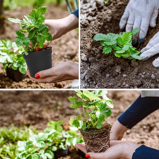 4 inch Small Plant Pots, 28 Pack Plastic Planters - Image 6