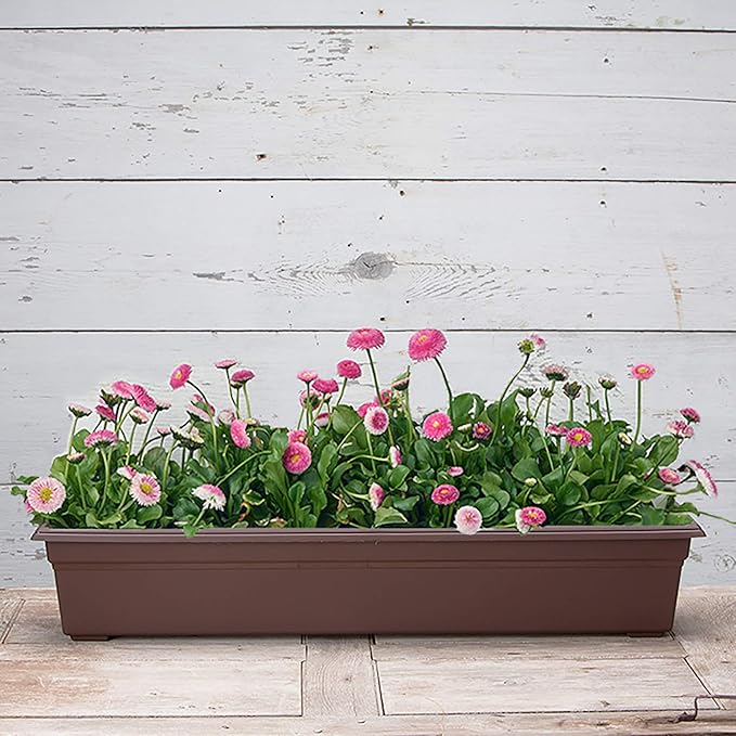 Root & Vessel 16363, Countryside Flower Box Planter - Image 3