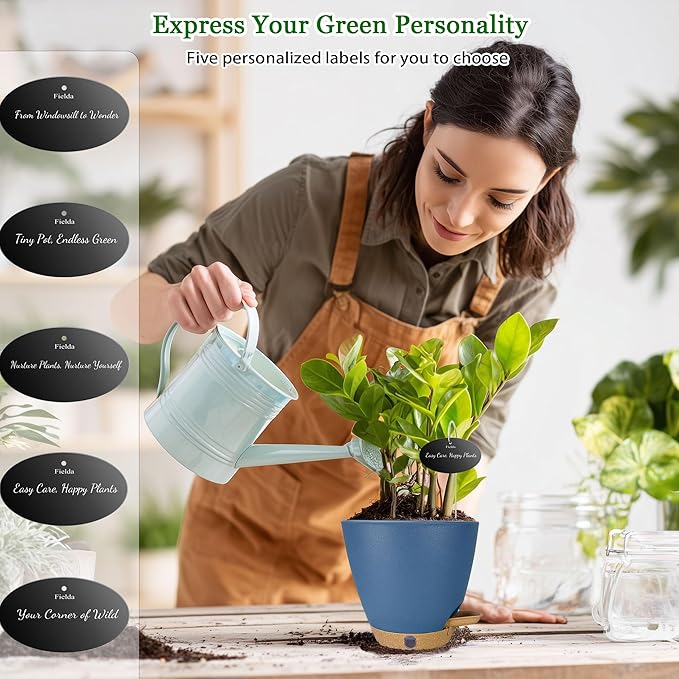 6 Inch Self Watering Pots for Indoor Plants – Small Plastic Planters - Image 6
