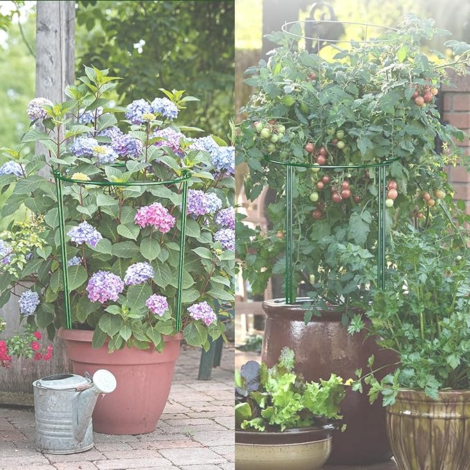 10 Pack 30 Inch Plant Support Stakes, Heavy-Duty Half Round Peony Support Ring - Image 6
