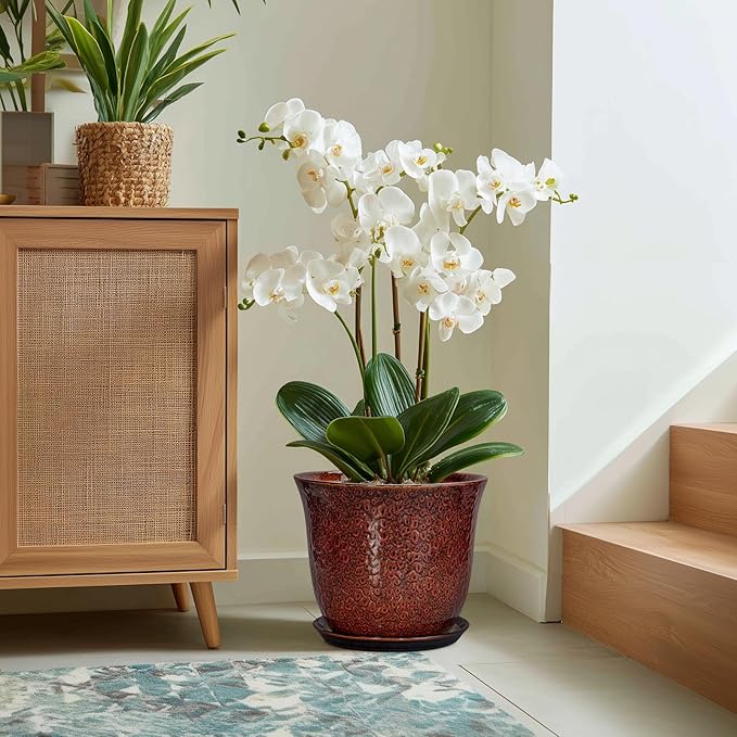 Ceramic Pots for Plants - Image 5