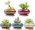 Cute Ceramic Succulent Garden Pots, Planter by LamDawn
