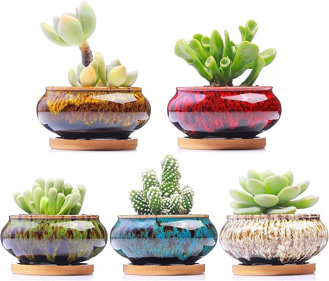 Cute Ceramic Succulent Garden Pots, Planter by LamDawn