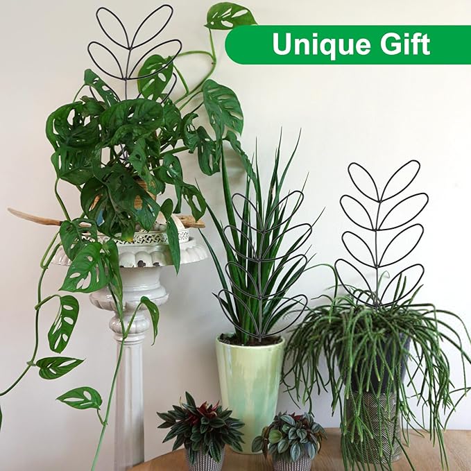 2 Pcs Plant Trellis Indoor, Plant Support - Image 6