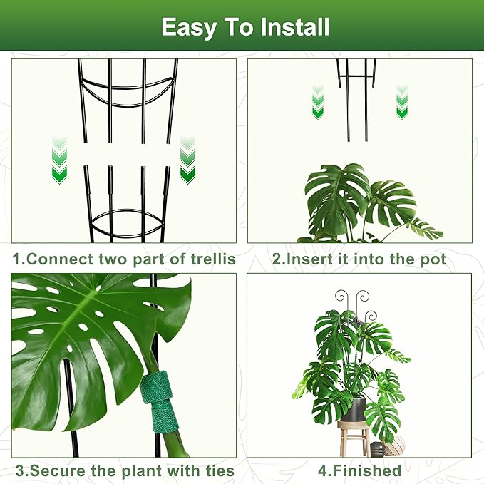 Coomin 32.6in Monstera Plant Support - Image 5