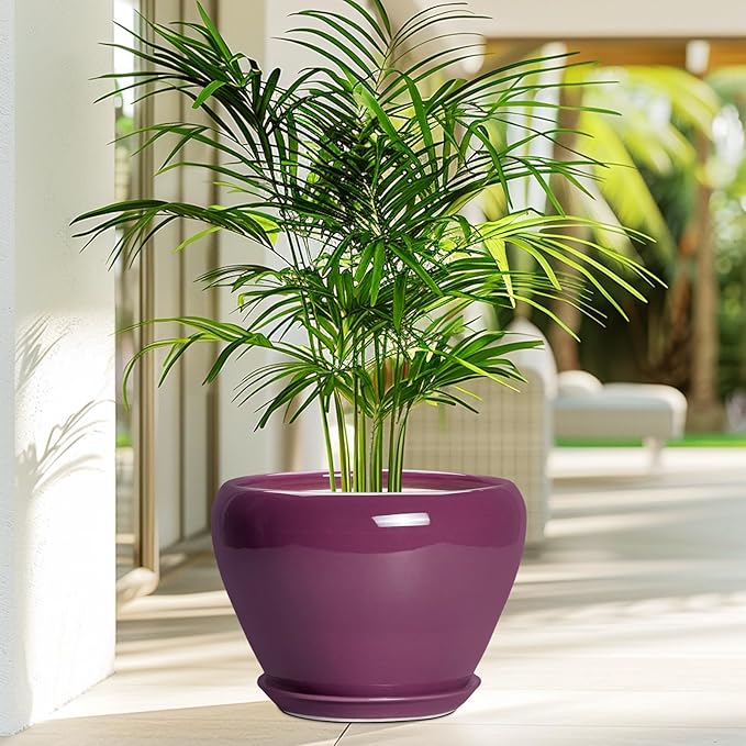 10 Inch Plant Pot - Image 4