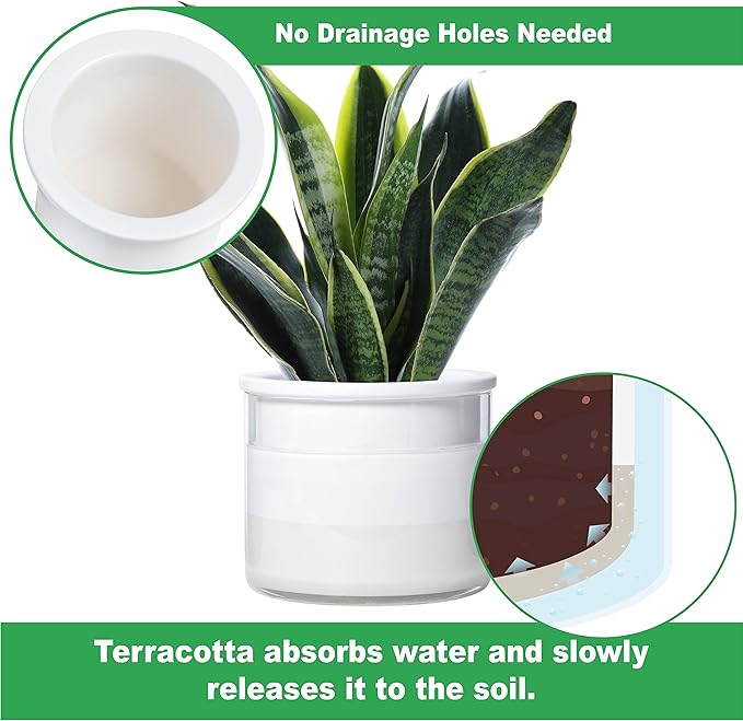 Phoenix Vine 6 Inch Self Watering Planter Pot, Design White Terracotta Pot - Image 3