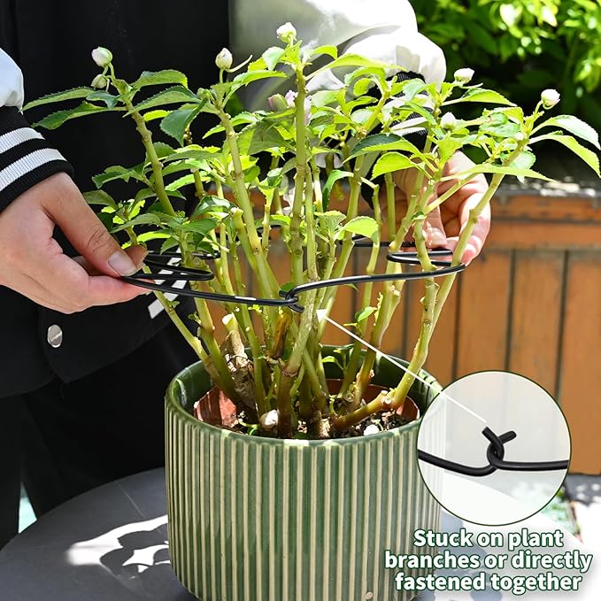 5PCS Black Monstera Plant Stem Support 9x7.6in - Image 4