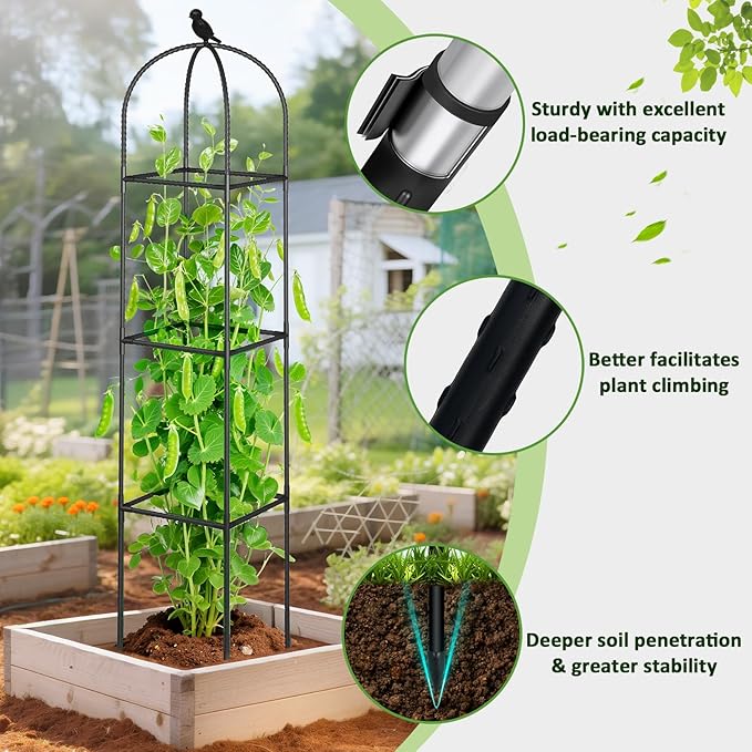 Square Tomato Cages for Garden, 6.2 FT Cucumber Trellis for Flowers, Rustproof - Image 2