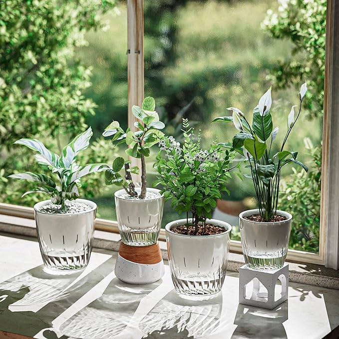 Self Watering Planters - Image 7