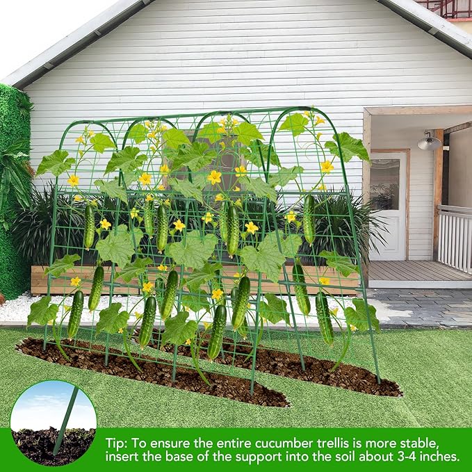 Cucumber Trellis for Raised Bed, U-Shape Garden Trellis for Climbing Plants - Image 7