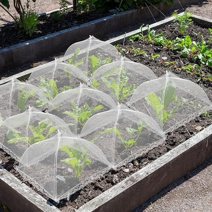 6 Sets Strawberry Plant Supports - Image 7