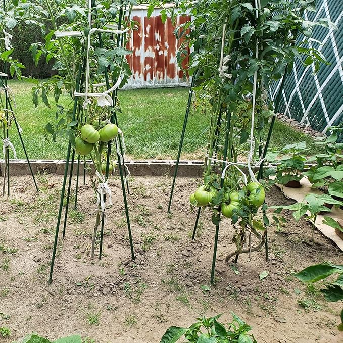 Garden Plant Stakes 57 Inch Steel Plant Stick Support, 25 Pack Tomato Stakes - Image 7