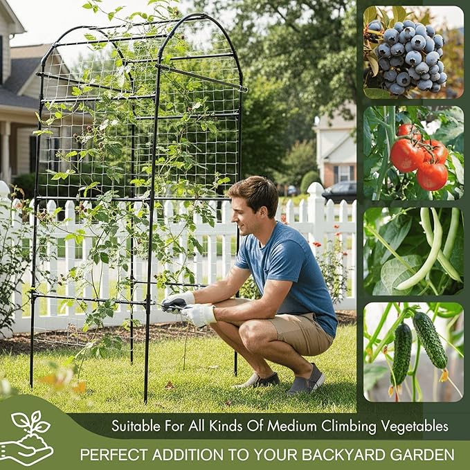 79" Garden Trellis Arch for Climbing Plants – Tall Outdoor Metal Trellis for - Image 4