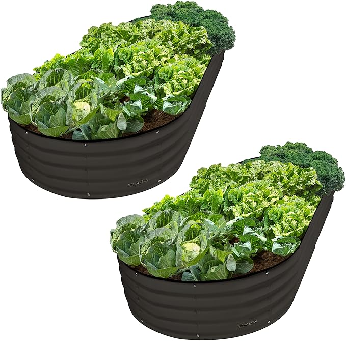 Plant & Plot Galvanized Raised Garden Beds Outdoor // 8×4×1 ft Planter Raised by PlantPlot