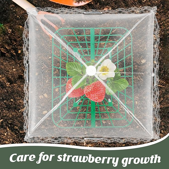 6 Sets Strawberry Plant Support - Image 5