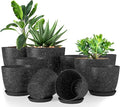 Utopia Home - Spotty Plant Pots Indoor - 7/6.6/6/5.3/4.8 Inches Flower Pots - by UTOPIAHOME