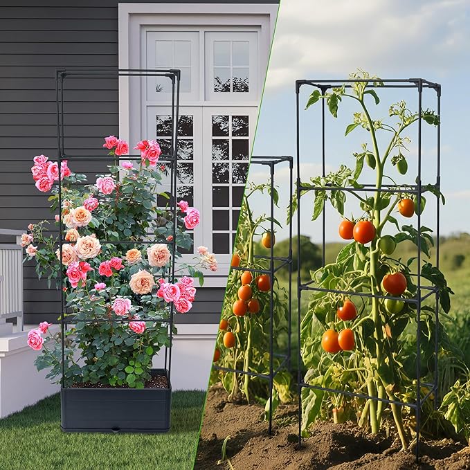 2 Packs Raised Garden Bed Tomato Planter Box - Image 8