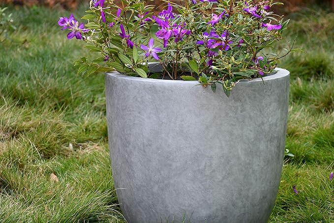 Kante 14 Inch Dia Round Concrete Planter, Indoor Outdoor Large Plant Pot - Image 15