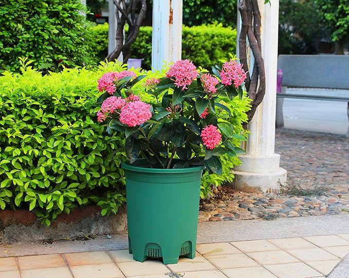 5 Gallon 20-Pack Green Nursery Pot Black Plastic Planters in Bulk - Image 6