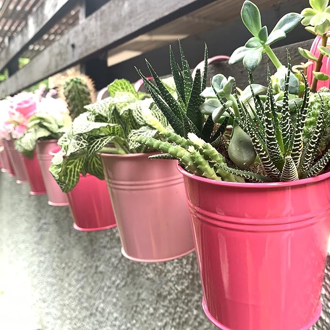 LaLaGreen Railing Planters Outdoor -10 Pack, 4 Inch Metal Hanging Flower Bucket - Image 4