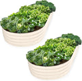 Plant & Plot Galvanized Raised Garden Beds Outdoor // 8×4×1 ft Planter Raised by PlantPlot