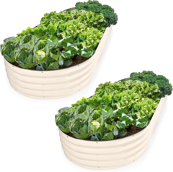 Plant & Plot Galvanized Raised Garden Beds Outdoor // 8×4×1 ft Planter Raised by PlantPlot
