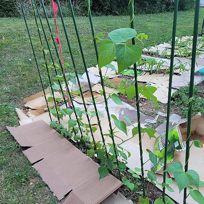 Garden Plant Stakes 57 Inch Tomato Stakes, 20 Pack Steel Plant Stick Support - Image 5