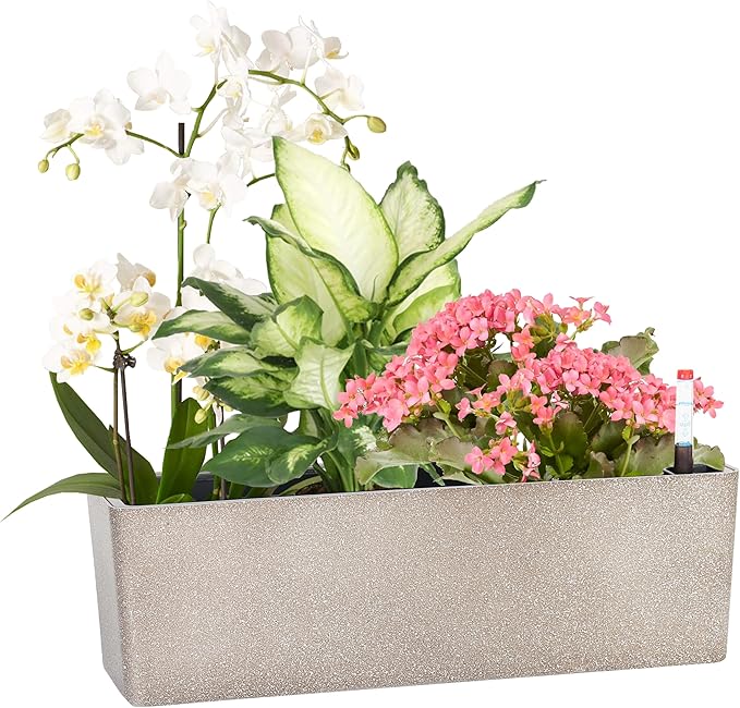 GardenBasix Elongated Self Watering Planter Pots Window Box 5.5 x 16 inch by GardenBasix