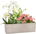 GardenBasix Elongated Self Watering Planter Pots Window Box 5.5 x 16 inch by GardenBasix