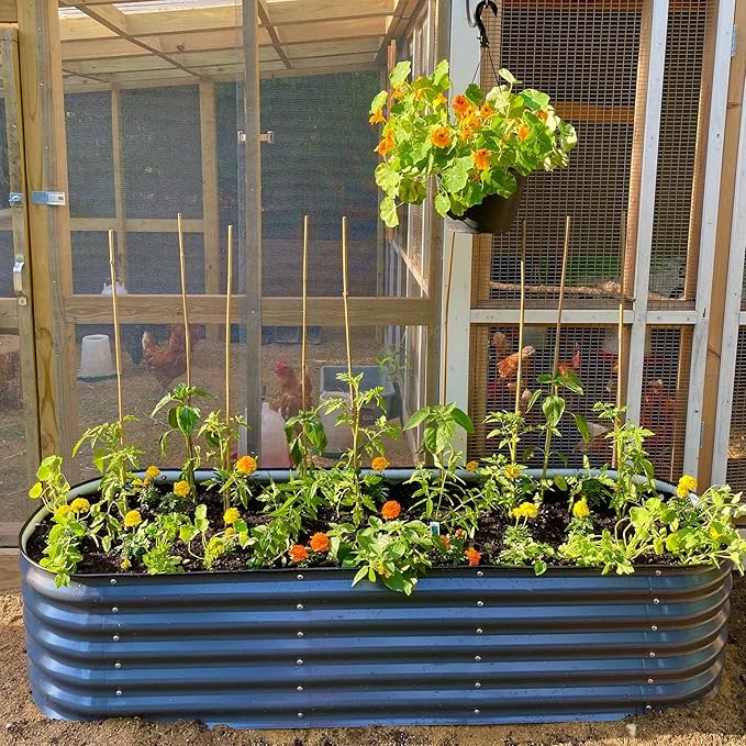 Vego garden Aluzinc Raised Garden Bed Kits - Image 9