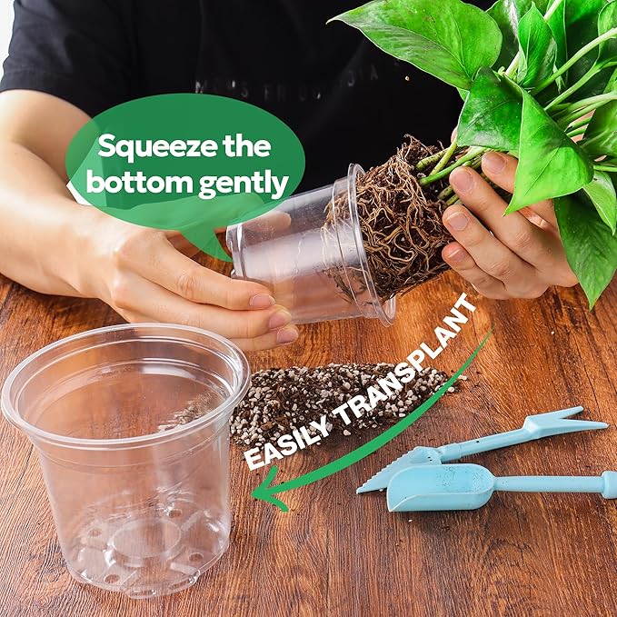 30 Packs 5 Inch Reinforced Clear Nursery Pots - Image 5