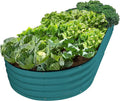 Plant & Plot Galvanized Raised Garden Beds Outdoor // 8×4×1 ft Planter Raised by PlantPlot