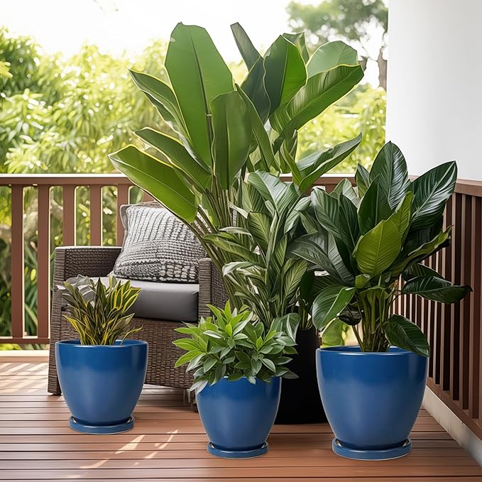 Ceramic Plant Pot - Image 7