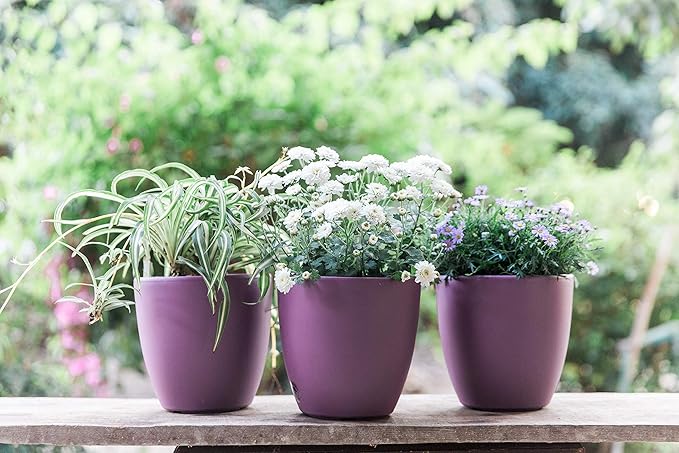 GARDENIX DECOR Self Watering Pots - Image 8