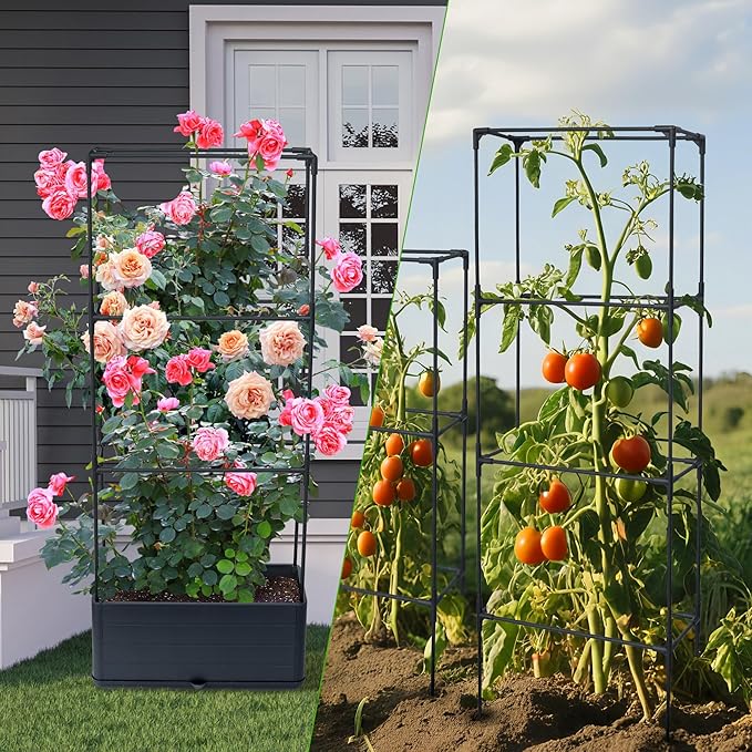 2 Packs Raised Garden Bed Tomato Planter Box - Image 8