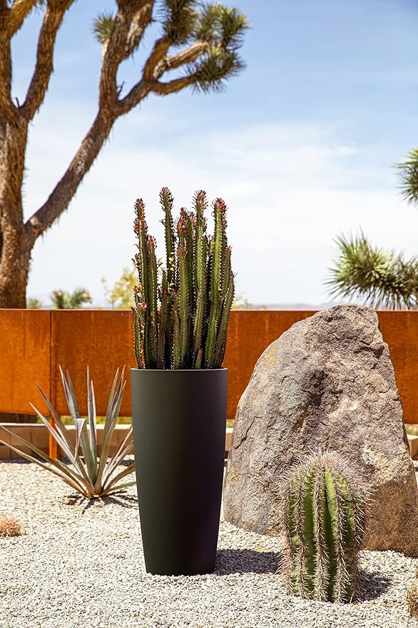 Veradek Mason Series Vega Planter - Image 6