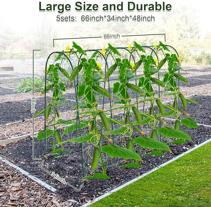iGreely Cucumber Trellis for Raised Bed, U-Shape Garden Arch Metal Support for - Image 2
