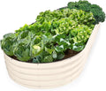 Plant & Plot Galvanized Raised Garden Beds Outdoor // 8×4×1 ft Planter Raised by PlantPlot