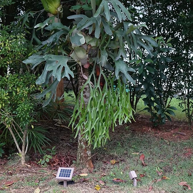 HEX 50X Single Solar Spotlight Warm White LED Waterproof Dimmable Dusk to Dawn - Image 5