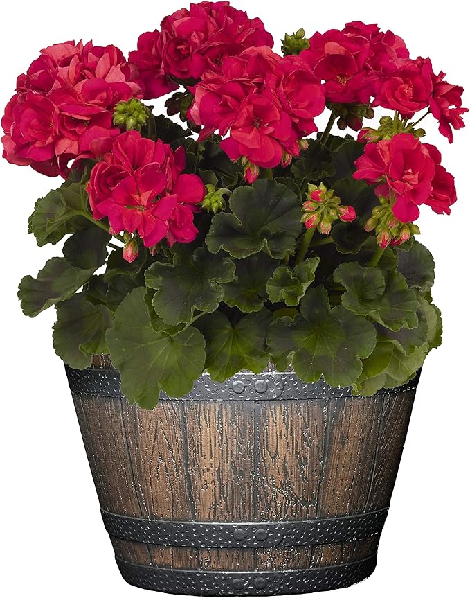 Classic Home and Garden S74CP5D-037R Whiskey Barrel Planter 5 Pack, Kentucky - Image 2