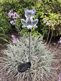 Solar Garden Stake Lights with Color Changing LED or Regular White LED by Ntertainment+House