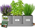 volila Herb Planter Indoor by volila