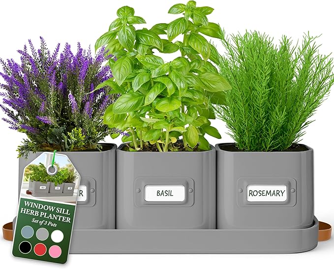 volila Herb Planter Indoor by volila