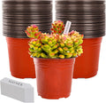 TDHDIKE 6 Inch Plastic Plant Nursery Pots Seedling Flower Plant Container Seed by TDHDIKE