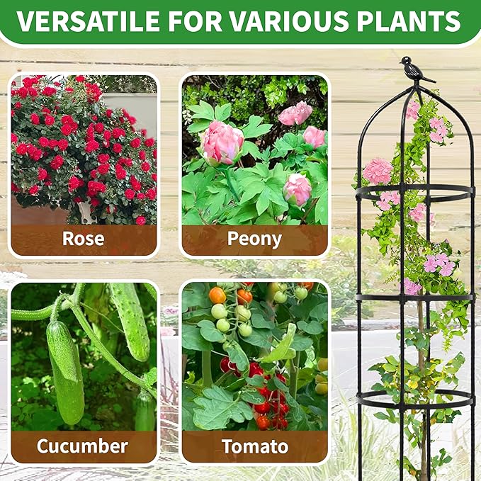 2-Pack 6.7FT Garden Obelisk Trellis - Image 7