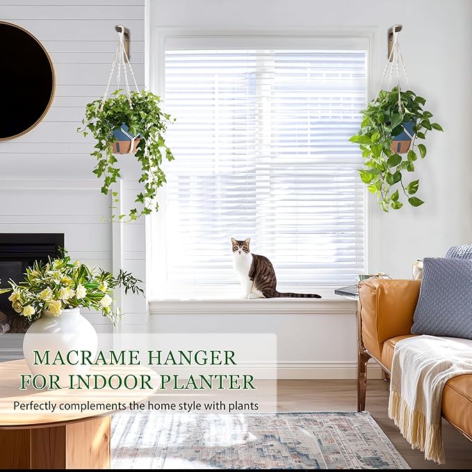 Hanging Planter Self Watering 10 Inch, 2 Pack Hanging Baskets - Image 4