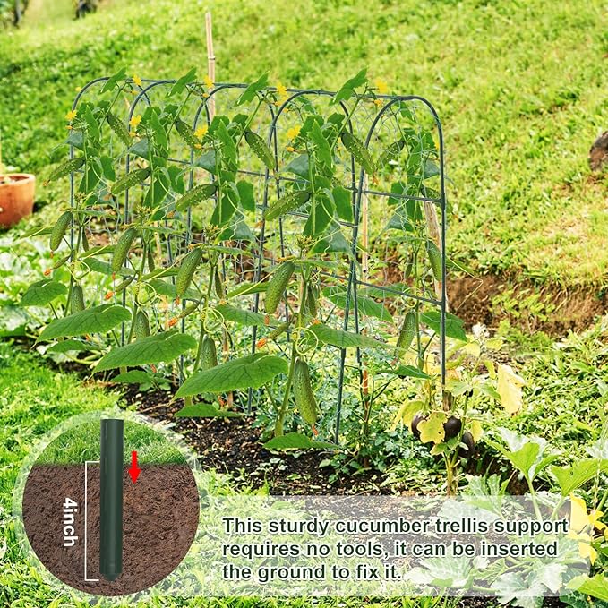 iGreely Cucumber Trellis for Raised Bed, U-Shape Garden Arch Metal Support for - Image 5