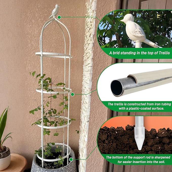 Garden Trellis for Climbing Plants, Rustproof Metal Pipe - Image 2