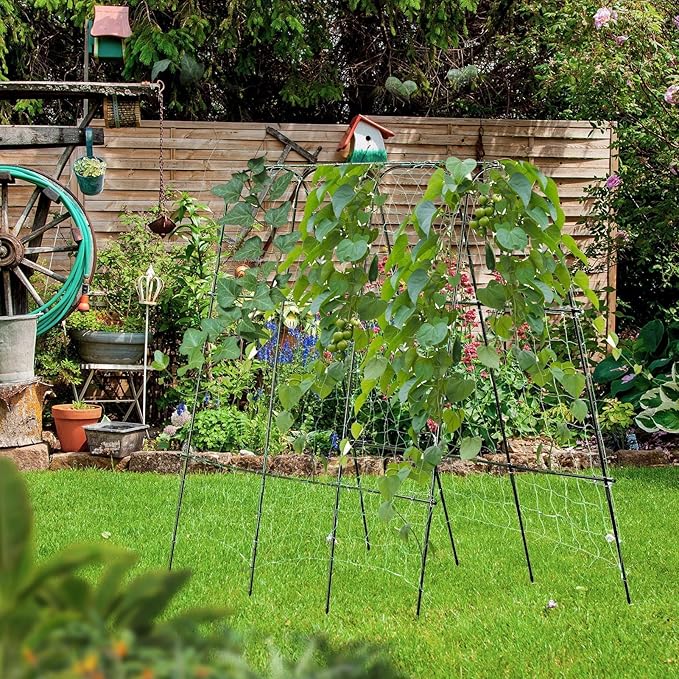 Lalahoni Cucumber Trellis, - Image 8